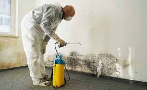 Tysons, VA Mold Removal Company