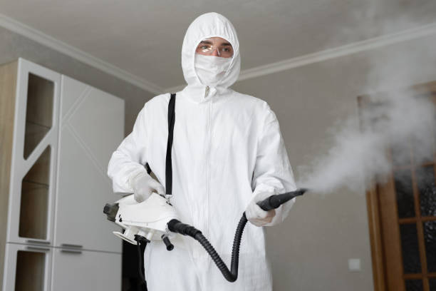 Why You Should Choose Our Mold Remediation Services in Tysons, VA